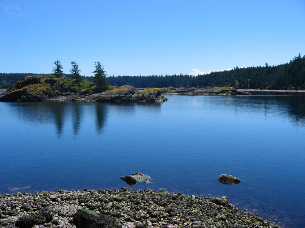 Gowlland Harbour Resort Heriot Bay Værelse billede